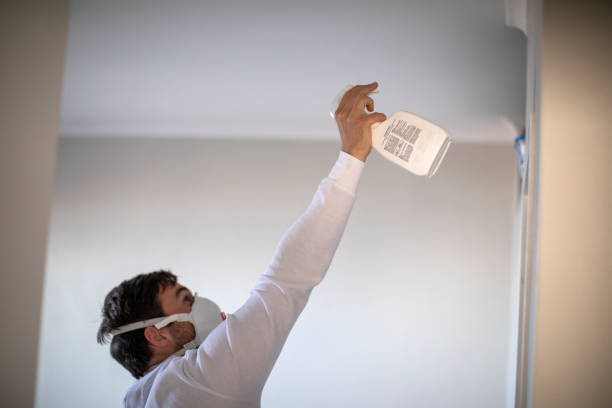 Best Post-Flood Mold Remediation in Blaine, MN