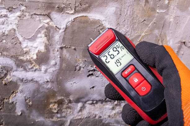 Best Mold Remediation for Schools in Blaine, MN