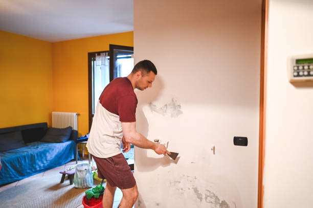 Trusted Blaine, MN Mold Remediation Experts
